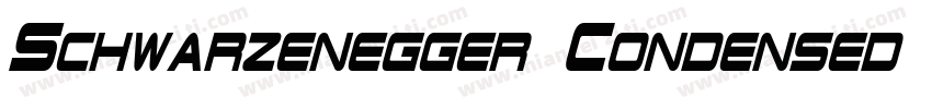 Schwarzenegger Condensed Regular字体转换